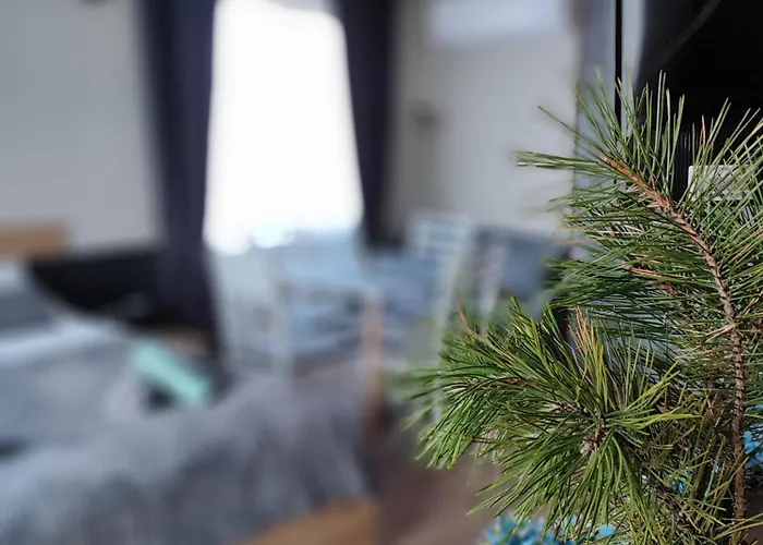 View #2 Apartment Bansko